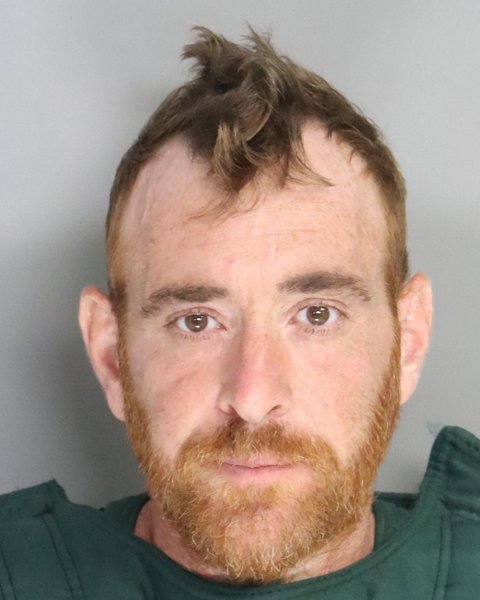 Mugshot of STEPHEN LEWIS