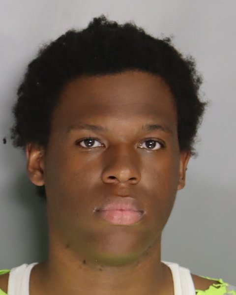Mugshot of ELLIS WILLIAMS