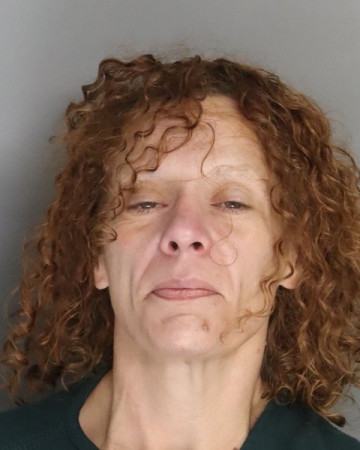 Mugshot of AMANDA SPIRES