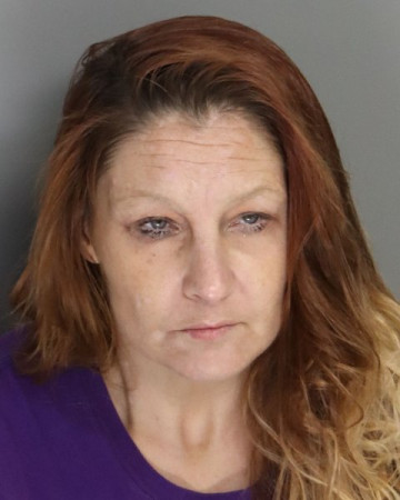 Mugshot of JENNIFER ELLIS