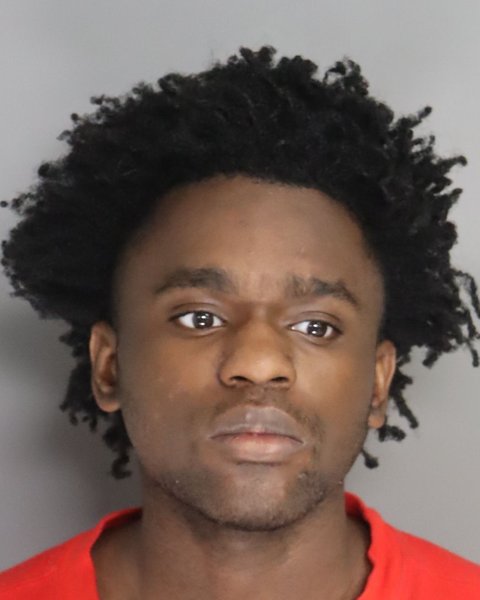 Mugshot of TRAMAIN WILSON