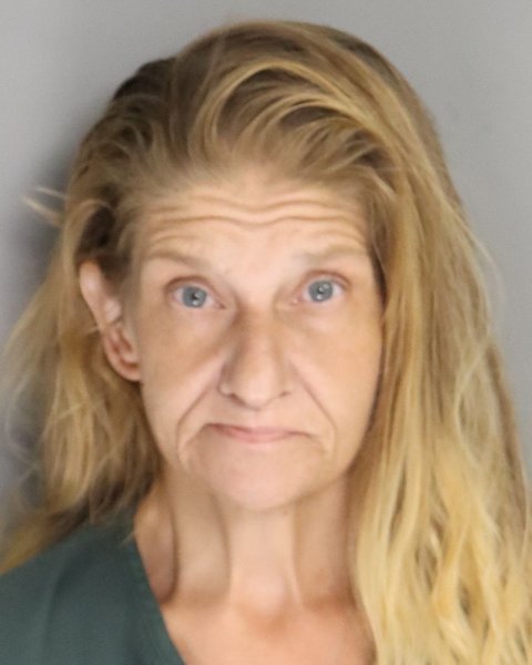 Mugshot of DENISE HERLONG
