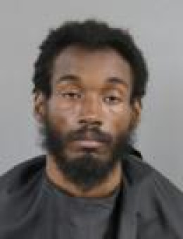 Mugshot of RON JOHNSON