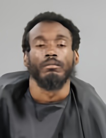 Mugshot of RON JOHNSON