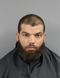 Mugshot of JOSE LEE TORRES