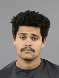Mugshot of REESE EDWARD HOLDER