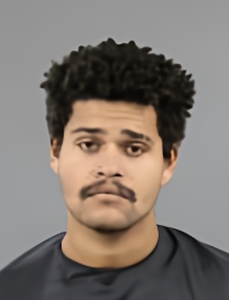 Mugshot of REESE EDWARD HOLDER