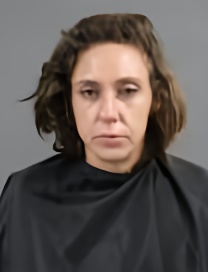 Mugshot of WANDA DAWN PRICE