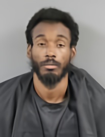 Mugshot of RON JOHNSON