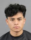 Mugshot of WALTER FERNANDO- ESTEBAN