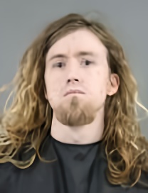 Mugshot of JUSTICE LEE BORJA