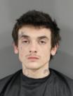 Mugshot of JARED DAVID TIERCE