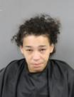 Mugshot of TEEA HOPE DAVIS