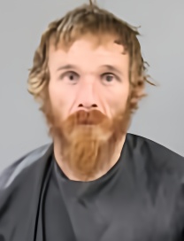 Mugshot of DANIEL SHANE NELSON