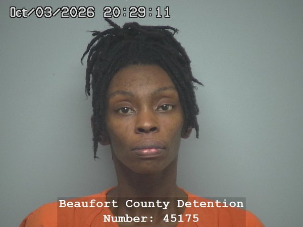 Mugshot of BRITTANY SHONTA SANDERS