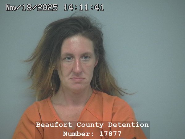 Mugshot of ASHLEY MICHELLE KIGHT