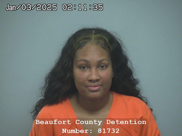 Mugshot of BRITTANI BERNIK OBIE