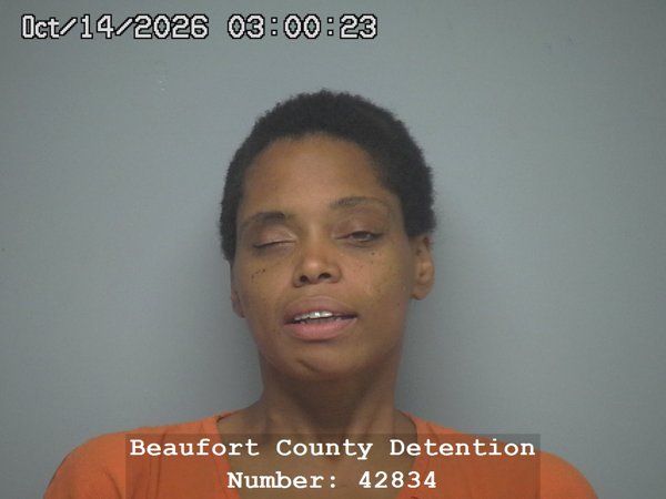 Mugshot of CHRISTINA PAGE DRIESSEN