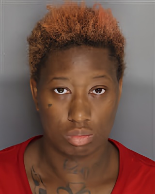 Mugshot of Shakeria D West