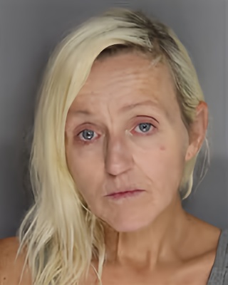 Mugshot of Sarah Lindsay Zirlke