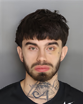 Mugshot of Austin Cole Vanwasshenova