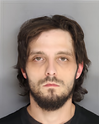 Mugshot of Dylan Edward Robertson