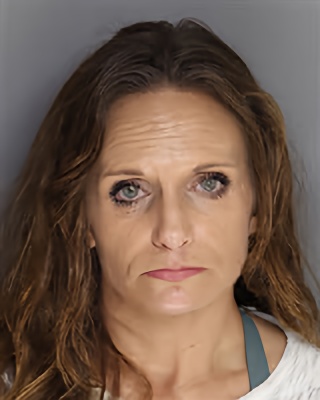 Mugshot of Amanda williams Fogle