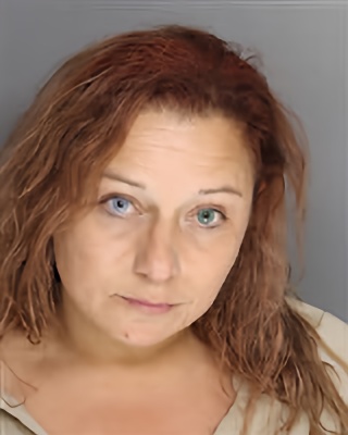 Mugshot of Cynthia Donna Ann Droze