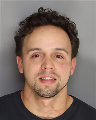 Mugshot of Henry Roytman