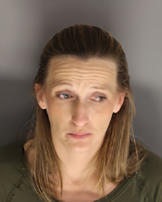 Mugshot of Michele Elizabeth Babson