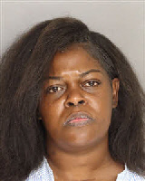 Mugshot of Tracy Lyn Castillo