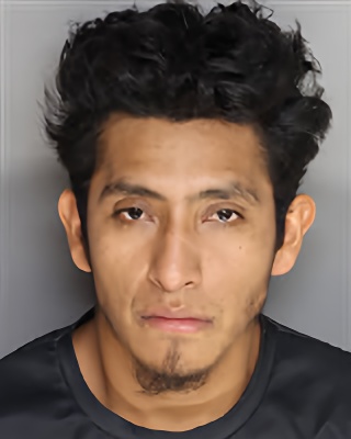 Mugshot of FERNANDO Velasquez-Gomez