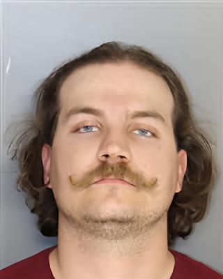 Mugshot of Reece Thompson Young