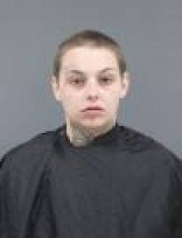 Mugshot of Kayla Nichole Williams