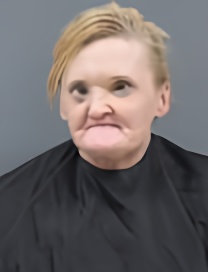 Mugshot of Lisa Gibson Trent