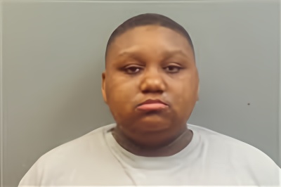 Mugshot of SANAJIA LASHEA HOLLAND