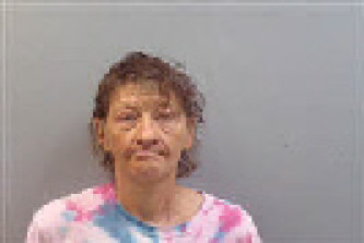 Mugshot of LORI ANN BRIGMAN