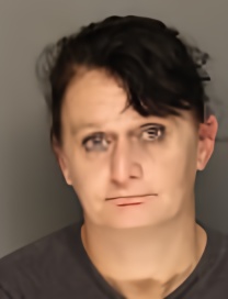 Mugshot of HEIDI CELESTE CARRASCO