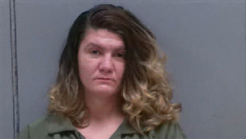 Mugshot of LOGAN BROOK WILKES