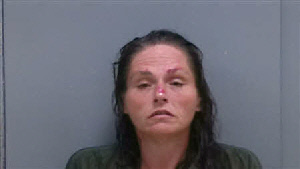 Mugshot of VERONICA CAROL LOGAN