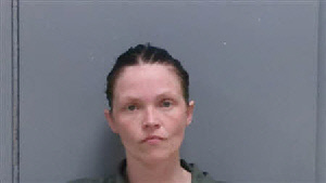 Mugshot of JANESSA STAR EVANS