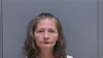 Mugshot of TAMARA CHRISTINE MCMULLEN