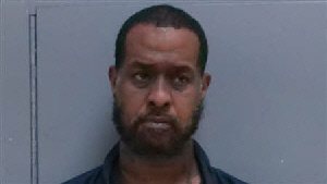 Mugshot of PETER GERODD ERVIN