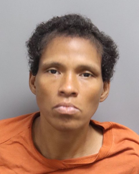 Mugshot of MAGGIE DANIELLE EMMONS
