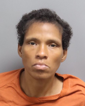 Mugshot of MAGGIE DANIELLE EMMONS