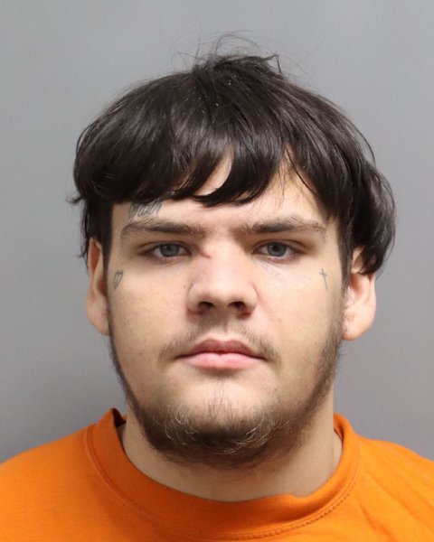Mugshot of LOGAN GREGORY-CHRISTIAN FLYNN