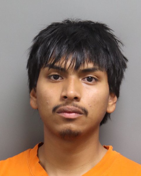 Mugshot of CARLOS OSSIEL ROSAS OJEDA