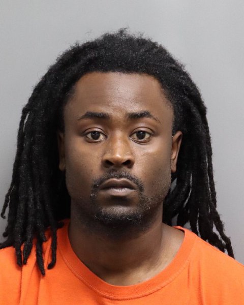 Mugshot of CARLOUS LAION PELZER