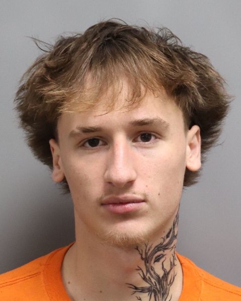 Mugshot of AYDON TAYLOR GILLESPIE