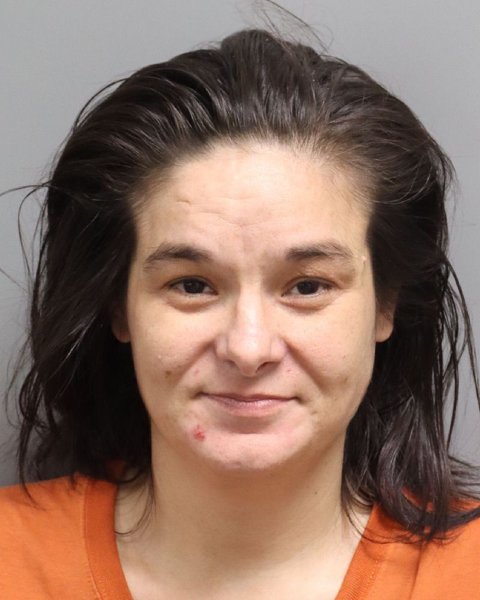 Mugshot of LAURA ELIZABETH WARWICK